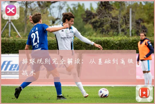 排球规则完全解读:从基础到高级战术