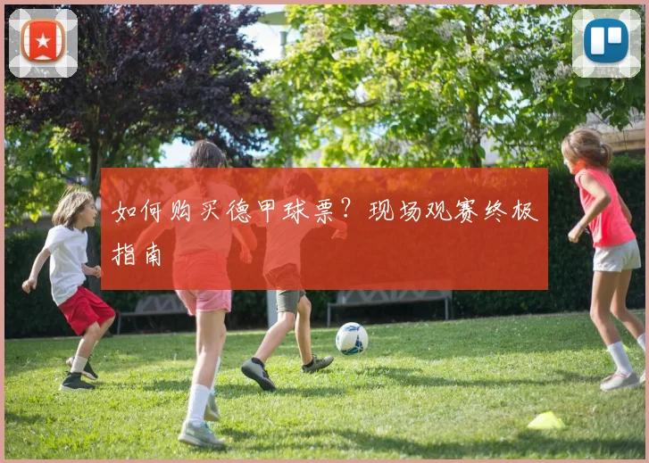 如何购买德甲球票?现场观赛终极指南
