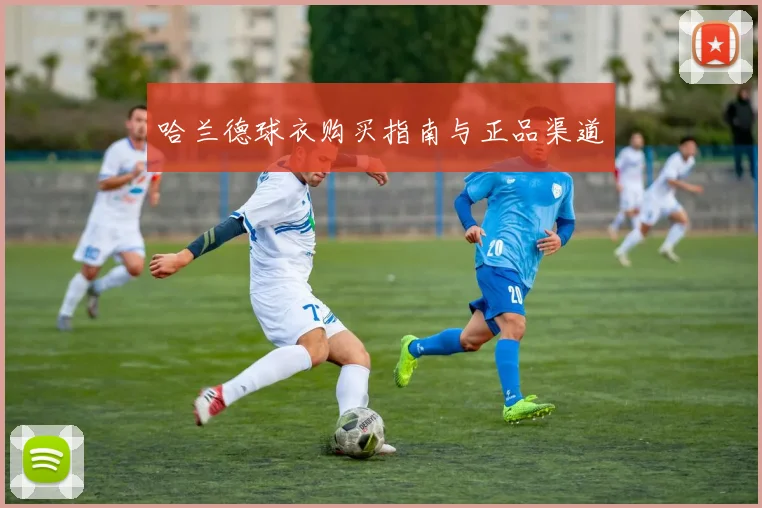 哈兰德球衣购买指南与正品渠道