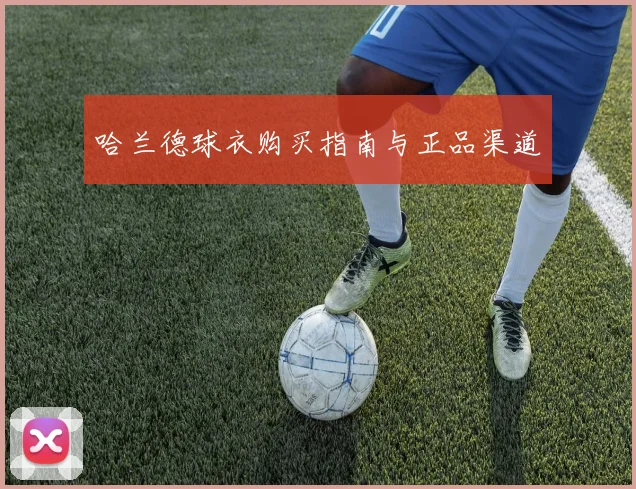 哈兰德球衣购买指南与正品渠道